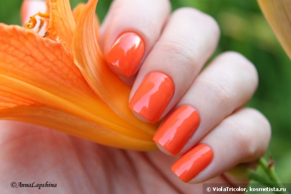 Лаки Golden Rose Rich Color Nail Lacquer №37,№48 и градиент с ними