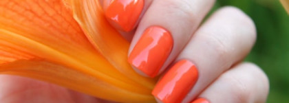 Лаки Golden Rose Rich Color Nail Lacquer №37,№48 и градиент с ними