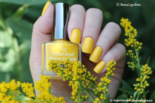 Лаки Golden Rose Rich Color Nail Lacquer №37,№48 и градиент с ними