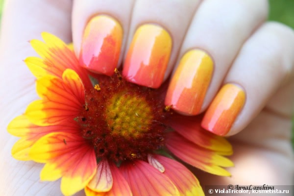 Лаки Golden Rose Rich Color Nail Lacquer №37,№48 и градиент с ними