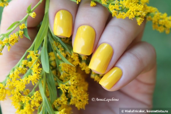 Лаки Golden Rose Rich Color Nail Lacquer №37,№48 и градиент с ними