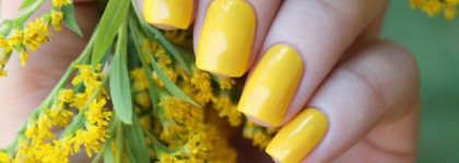 Лаки Golden Rose Rich Color Nail Lacquer №37,№48 и градиент с ними