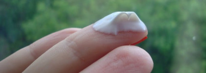 Estee Lauder Time Zone