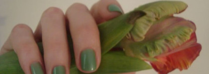 Dior Vernise.  Parfume Waterlily # 504