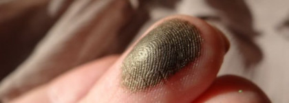 Essence. Осенняя коллекция  Wild Craft