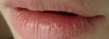 Essence Twilight Saga: Breaking Dawn – Part 2 Limited Edition Collection