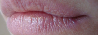 Essence Twilight Saga: Breaking Dawn – Part 2 Limited Edition Collection