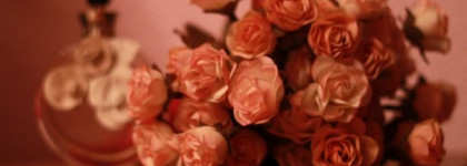 Как пахнет нежность? Valentina от Valentino