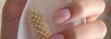 Лаки Rimmel-радости и разочарования