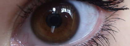 Lumene Bluberry Volume Mascara