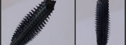 Lumene Bluberry Volume Mascara