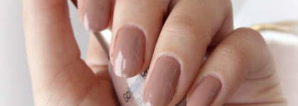 Golden Rose №13-Какао с молоком