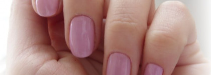 Немного нежности Golden Rose Fashion Color