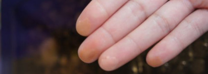 Волшебные призмы Givenchy Prisme Libre № 4 Tender Sun (pearly) и Givenchy Le Prisme Visage Mat