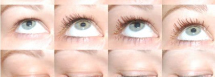 Мои туши за последний год