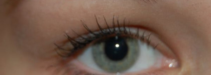 Преображение с Diorshow Maximizer