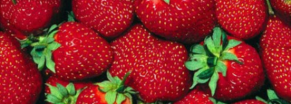 Моя "радуга" ароматов