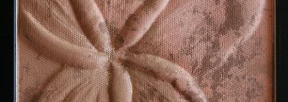 Пудра Fleur de Frangipanier от Givenchy (коллекция лето 2010)