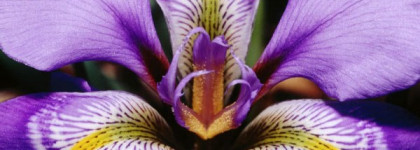 Ароматическое познавательное (часть3 -"оригинальненько!")