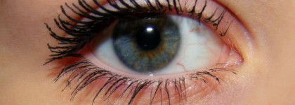 Мой фаворит среди туши - "Max Factor Xperience"