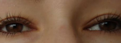 Тушь для ресниц: обзор любимых