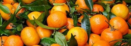 Напарник к блеску-мандарину: лак-клементин! Alessandro Nail Polish 935 Clementine