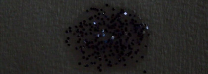 Фиолетовый бриллиант - сверкающий лак от Mavala "Violet Diamond", #214