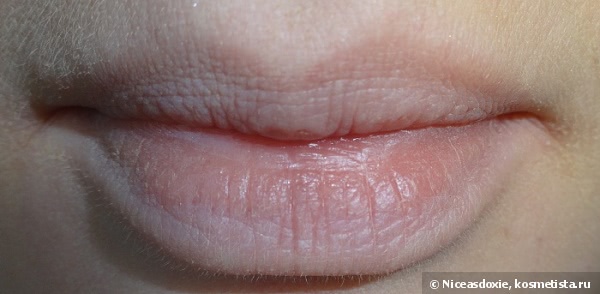 Розовая ягодка. Clarins Joli Rouge Long-Wearing Moisturising Lipstick #731