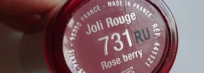 Розовая ягодка. Clarins Joli Rouge Long-Wearing Moisturising Lipstick #731 "Rose berry"