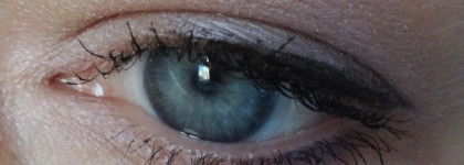 Идём в леса. Вместе с Тенями-трио для век с эффектом сияния Shiseido Luminizing Satin Eye Color Trio, №BR 214 Into The Woods