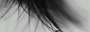 Способна ли тушь ухаживать за ресницами.Тушь+сыворотка Gosh Lengthening 2 Step Mascara with Revival Serum