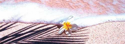 Багамский розовый песок - Лак для ногтей Rimmel Lycra Pro 287 Bahamas Flirt