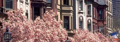 Весна в Париже с палеткой теней Yves Saint Laurent   Ombres Duolumieres Eyeshadow Duo №27