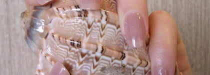 Соблазны Франции  - OPI - Tickle My Francey NL F16