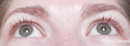 Lumene Wild Rose Volume Lip Gloss, Cloudberry Volume Serum Mascara