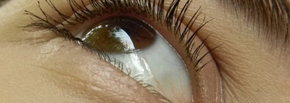 ArtDeco: Perfect Teint Illuminator and Curl&Style Mascara