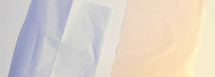 Shiseido: Pureness Oil-Control Blotting Paper