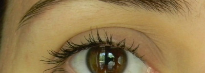 Essence: Maximum Length Volume Mascara and Stays No Matter What 24H Waterproof Eyeliner Pen 01 Midnight Black