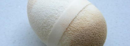 На розовой волне