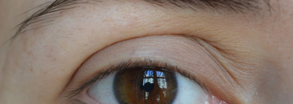 Подготовиться к свадьбе за 2 недели: Миссия невыполнима?