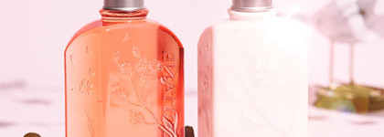 Ханами круглый год: Косметика и парфюм с ароматом сакуры