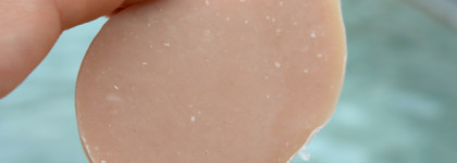 Garnier Botanic Therapy Solid Shampoo - лучший твёрдый шампунь?