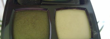 Вино из одуванчиков (тени из летней коллекции Chanel Ombres Contraste Duo 17, Khaki Discret)