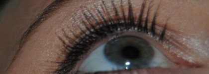 Открой глаза на встречу с солнцем или Guerlain Le2 de Guerlain Mascara 10 noir 2 noir