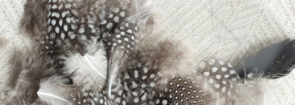 Набор для маникюра Ciate Feathered Manicure Set «What a Hoot»