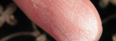 Подлинная красота всегда знает меру. Les 4 Ombres de Chanel #08 "Vanités"