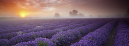 Куда приводят мечты с OPI NL B29 "Do you lilac it?"