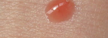 Victoria’s Secret Beauty Rush Lip Gloss в оттенке Yummy Berry