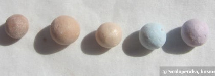 Guerlain meteorites perles Tent Dore 03