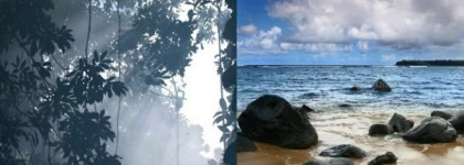 Рай с Giorgio Armani - Acqua di Gioia